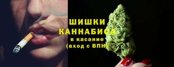 ПСИЛОЦИБИНОВЫЕ ГРИБЫ Михайловка