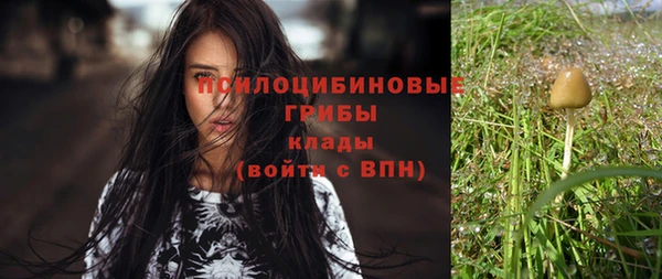 сатива Медвежьегорск